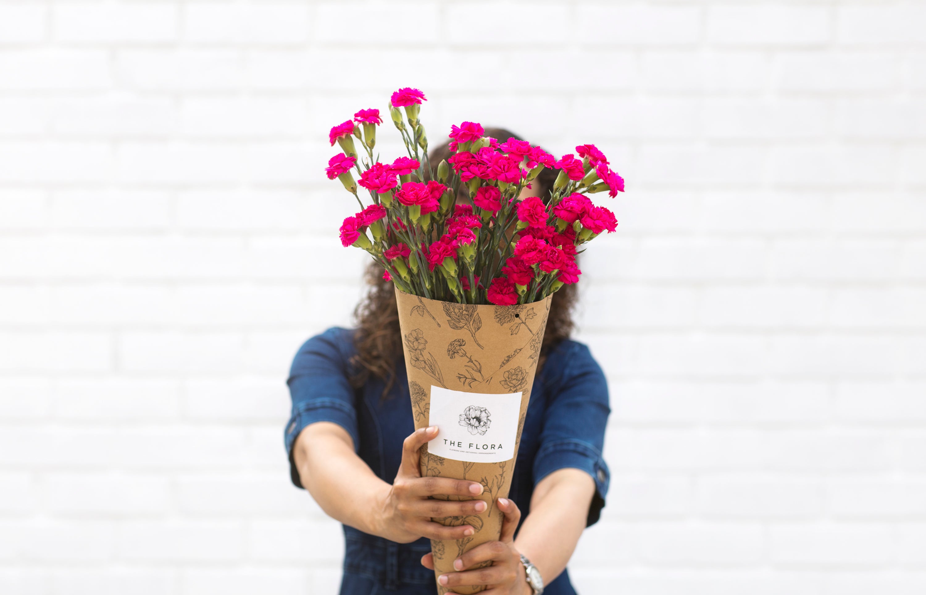 Spray Carnations