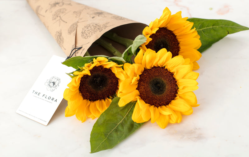 Mini Bouquet Single Stalk Sunflower with Gypsophila